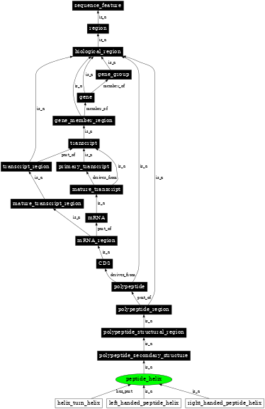 Graph image for SO:0001114