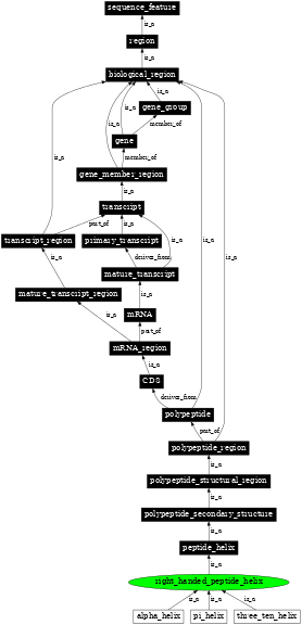 Graph image for SO:0001116