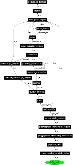 Graph image for SO:0001117