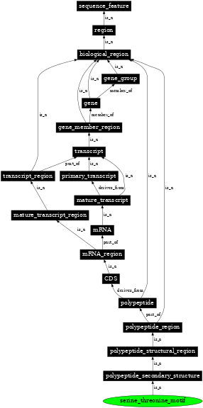 Graph image for SO:0001126