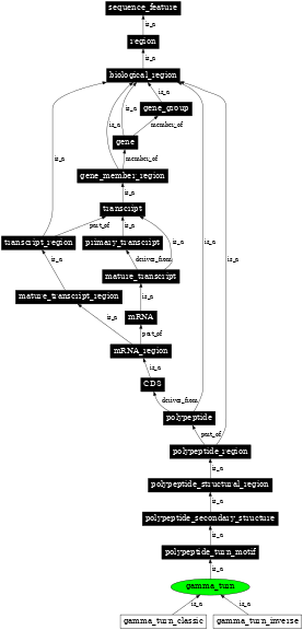 Graph image for SO:0001138