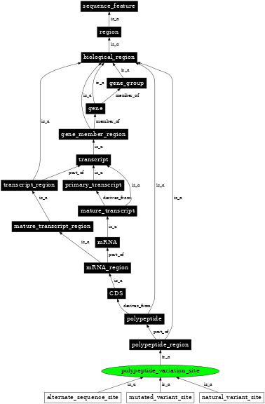 Graph image for SO:0001146