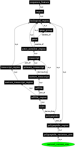 Graph image for SO:0001147