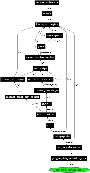 Graph image for SO:0001148