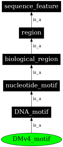 Graph image for SO:0001157