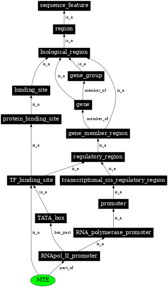 Graph image for SO:0001162