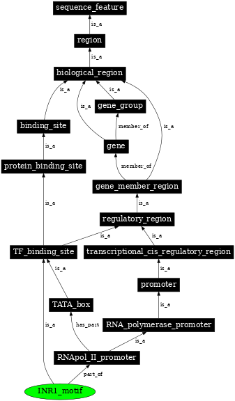 Graph image for SO:0001163