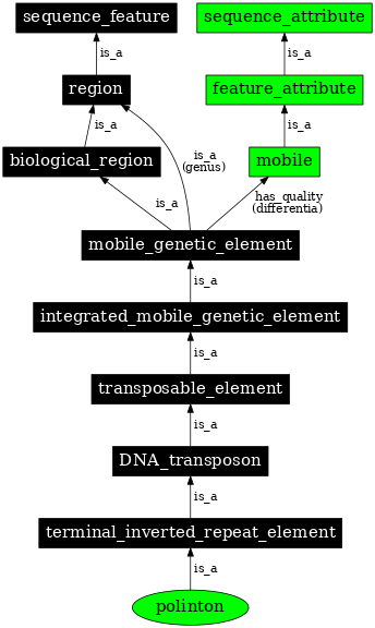 Graph image for SO:0001170