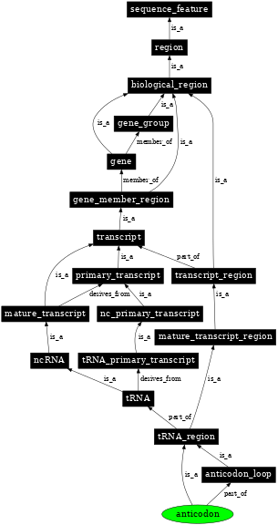 Graph image for SO:0001174