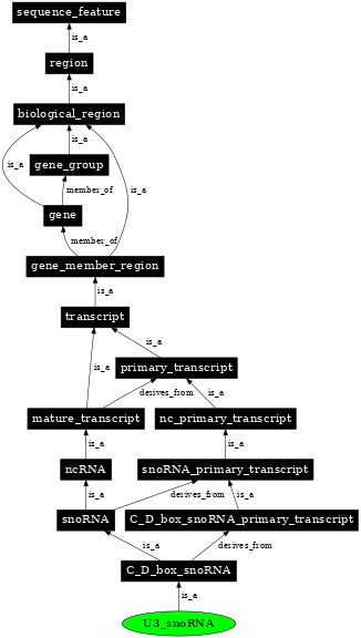 Graph image for SO:0001179