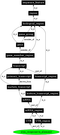 Graph image for SO:0001182