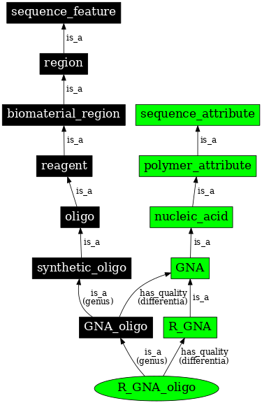 Graph image for SO:0001195