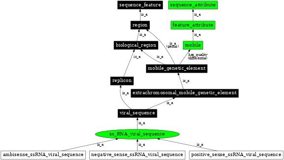 Graph image for SO:0001199