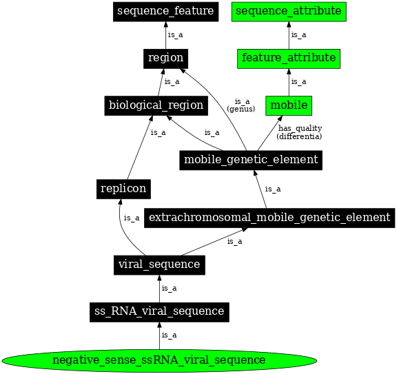 Graph image for SO:0001200