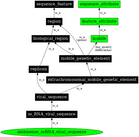 Graph image for SO:0001202