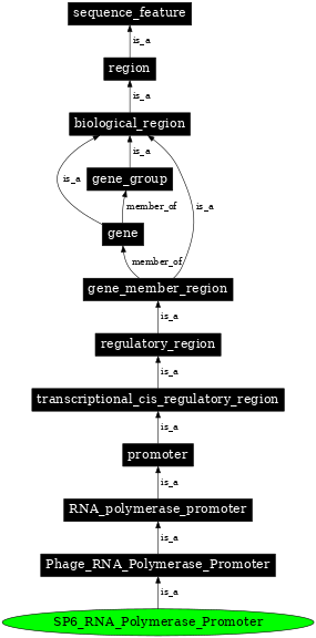 Graph image for SO:0001205