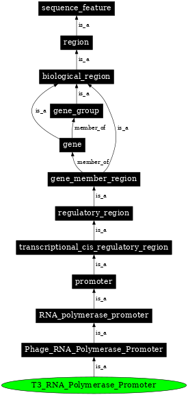 Graph image for SO:0001206