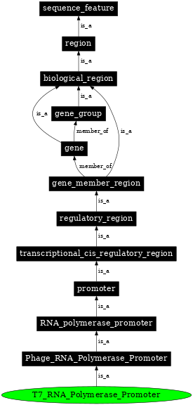 Graph image for SO:0001207