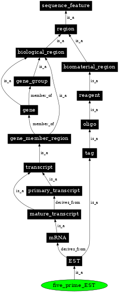 Graph image for SO:0001208