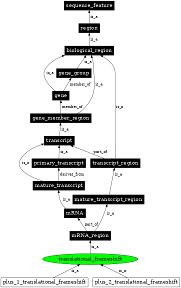 Graph image for SO:0001210