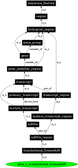 Graph image for SO:0001211