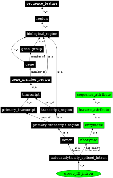 Graph image for SO:0001213