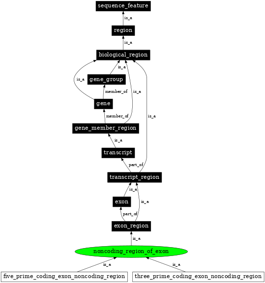 Graph image for SO:0001214