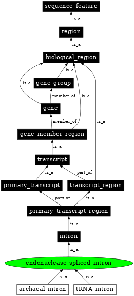 Graph image for SO:0001216