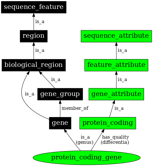 Graph image for SO:0001217