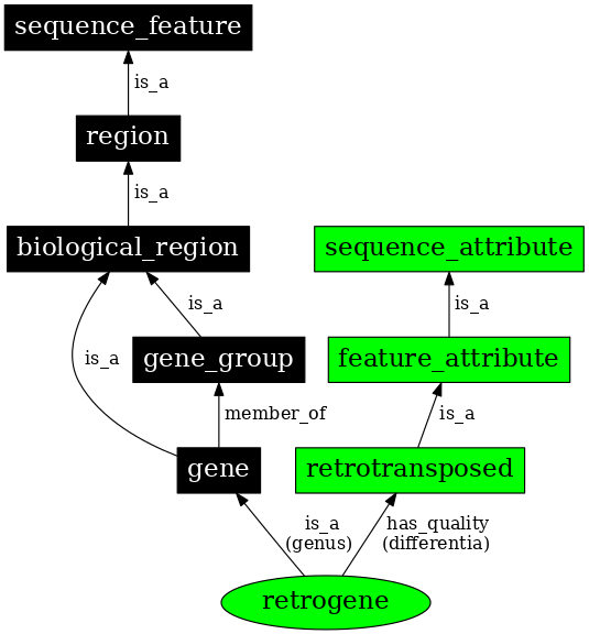 Graph image for SO:0001219