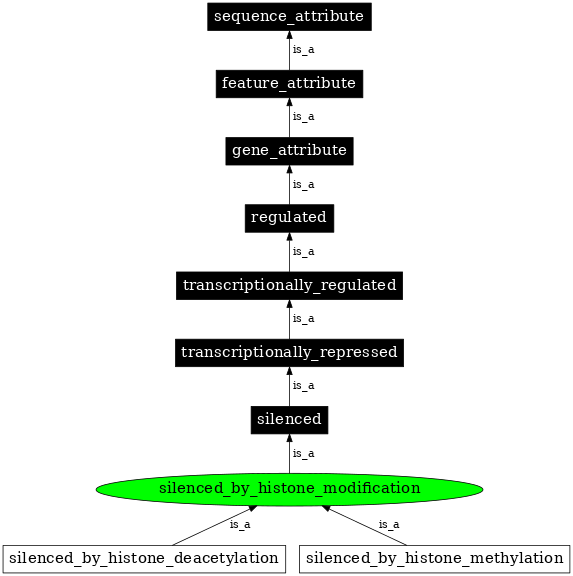 Graph image for SO:0001221