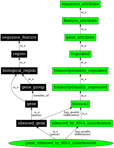 Graph image for SO:0001224