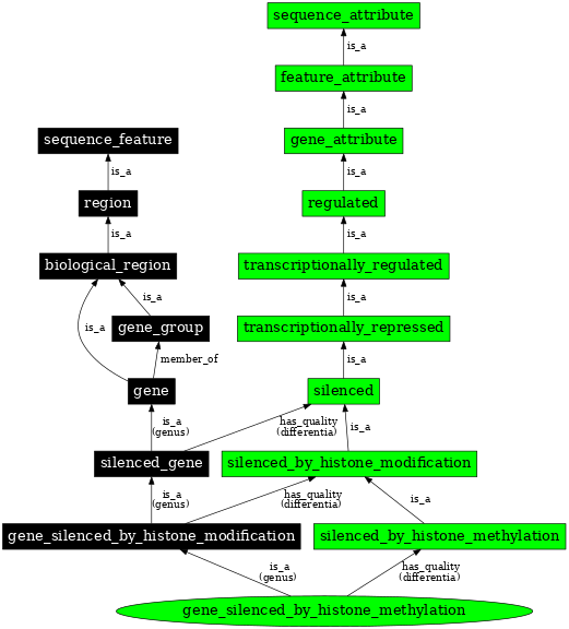 Graph image for SO:0001226