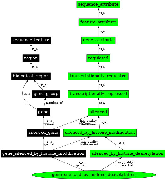 Graph image for SO:0001227