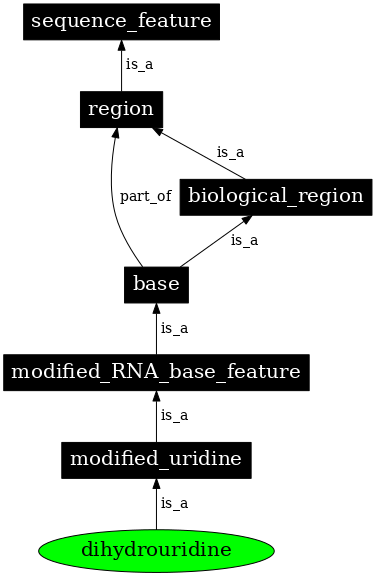 Graph image for SO:0001228