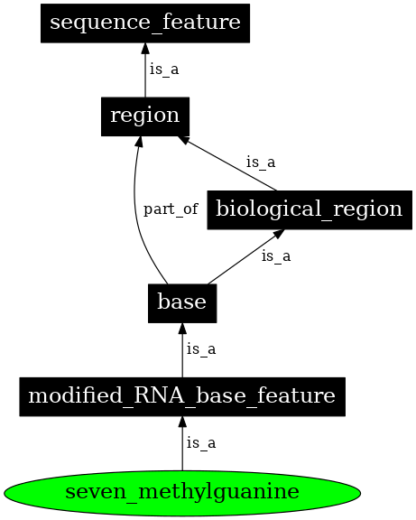 Graph image for SO:0001231