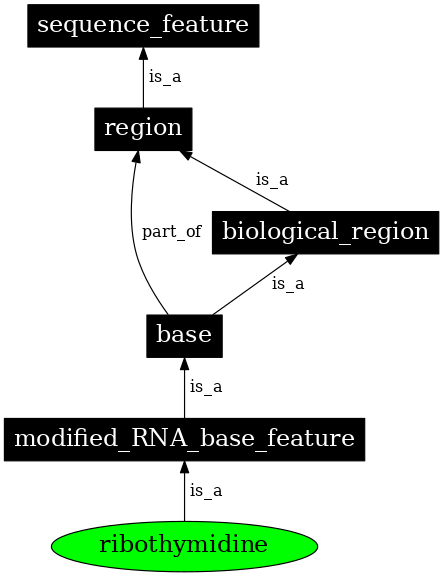 Graph image for SO:0001232