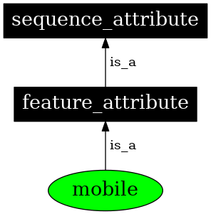 Graph image for SO:0001234