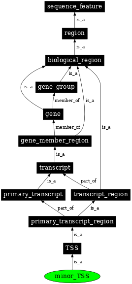 Graph image for SO:0001239