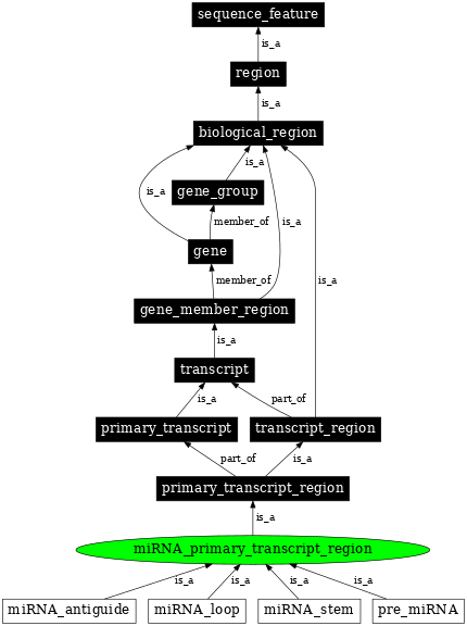 Graph image for SO:0001243