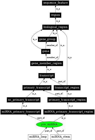 Graph image for SO:0001244