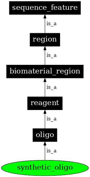 Graph image for SO:0001247