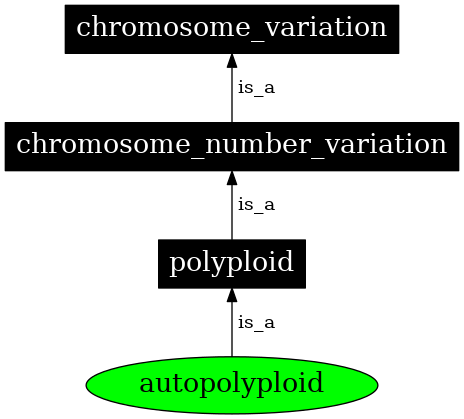 The MISO Sequence Ontology Browser - AUTOPOLYPLOID