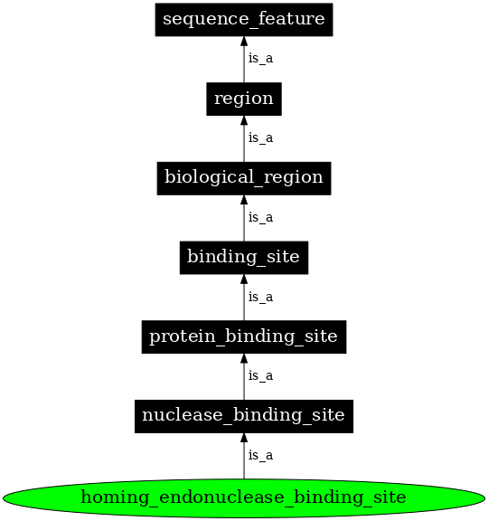 Graph image for SO:0001257