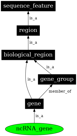 Graph image for SO:0001263