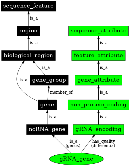 Graph image for SO:0001264