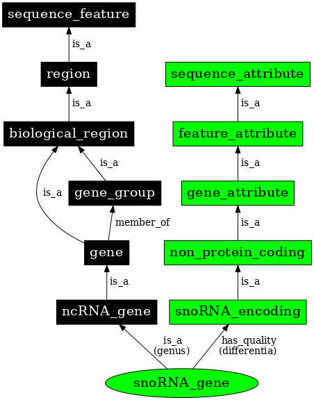 Graph image for SO:0001267