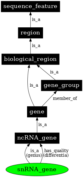 Graph image for SO:0001268