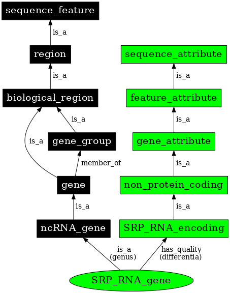 Graph image for SO:0001269