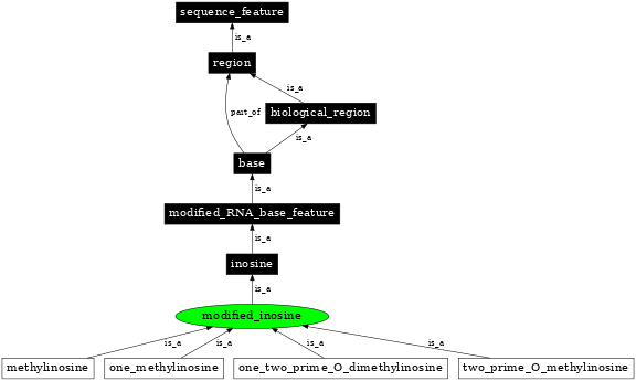 Graph image for SO:0001274